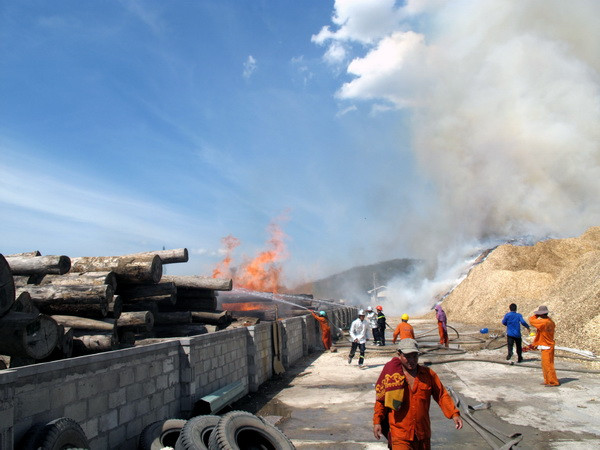 Vụ cháy Cảng Quy Nhơn: Thiệt hại lên tới hàng chục tỷ đồng ảnh 1