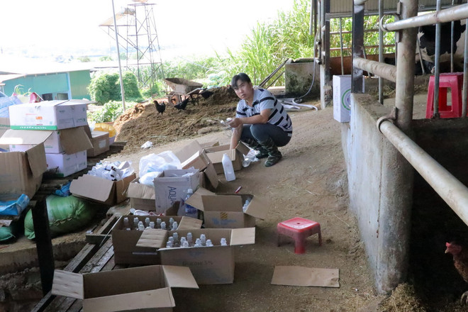 ttxvn_2808_bo sua (3).jpg