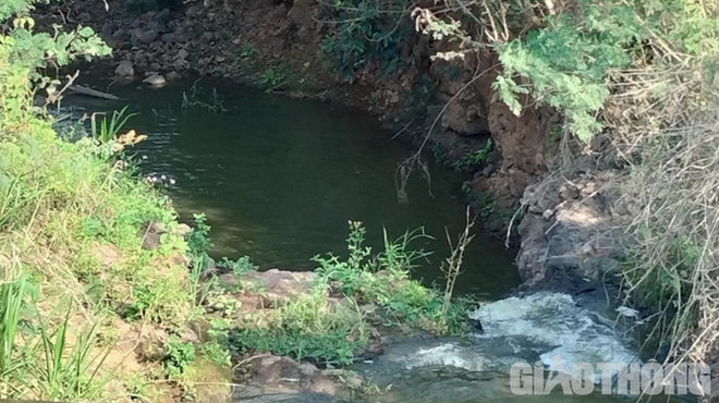 Đắk Lắk: Tai nạn đuối nước khiến ba nữ sinh lớp 4 tử vong ảnh 1