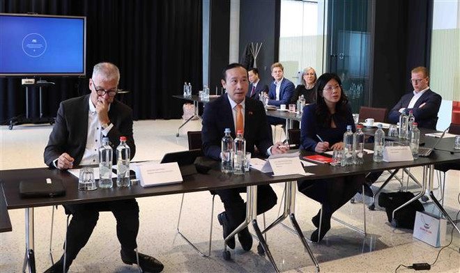 Quảng bá tiềm năng đầu tư tỉnh Bình Định với doanh nghiệp Bỉ ảnh 1