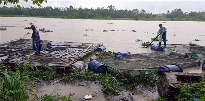 Người dân ở huyện Phong Điền (Thừa Thiên-Huế) buộc lại những lồng bè nuôi cá khi nước lũ dâng cao. (Ảnh: TTXVN phát) Mưa lũ ở miền Trung diễn biến phức tạp, còn khả năng xuất hiện thêm ảnh 1