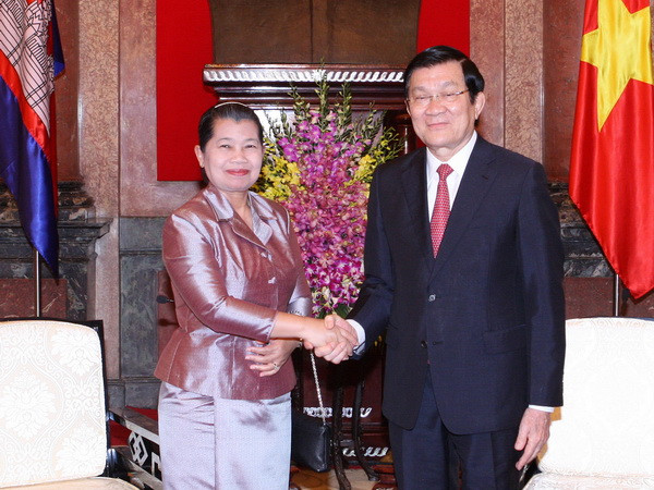 Chủ tịch nước Trương Tấn Sang tiếp Phó Thủ tướng Campuchia ảnh 1