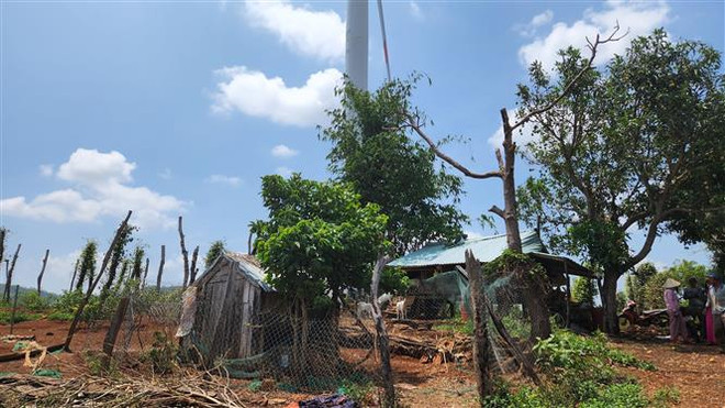 Gia Lai: Sở Công Thương yêu cầu dừng thử nghiệm dự án điện gió Ia Le 1 ảnh 1