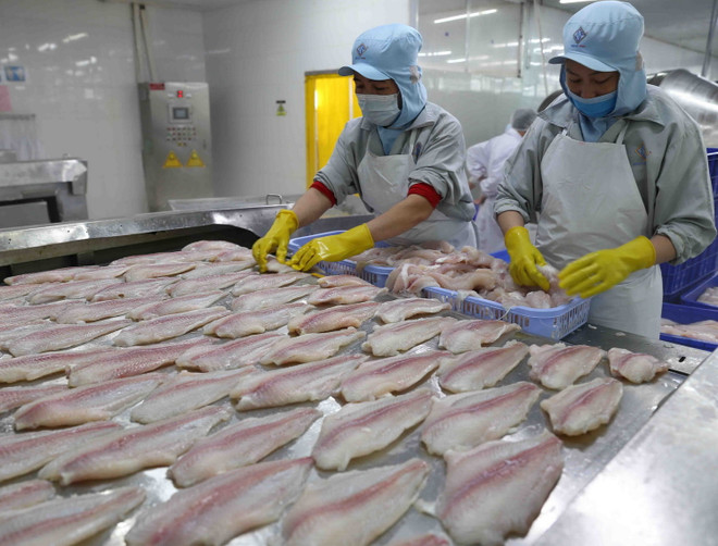 Kim ngạch xuất khẩu ngành thủy sản 2019 chưa như mong đợi! ảnh 1