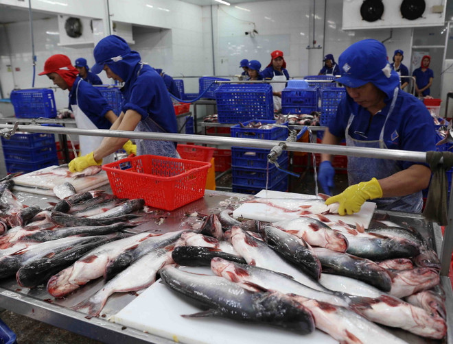 Kim ngạch xuất khẩu ngành thủy sản 2019 chưa như mong đợi! ảnh 2