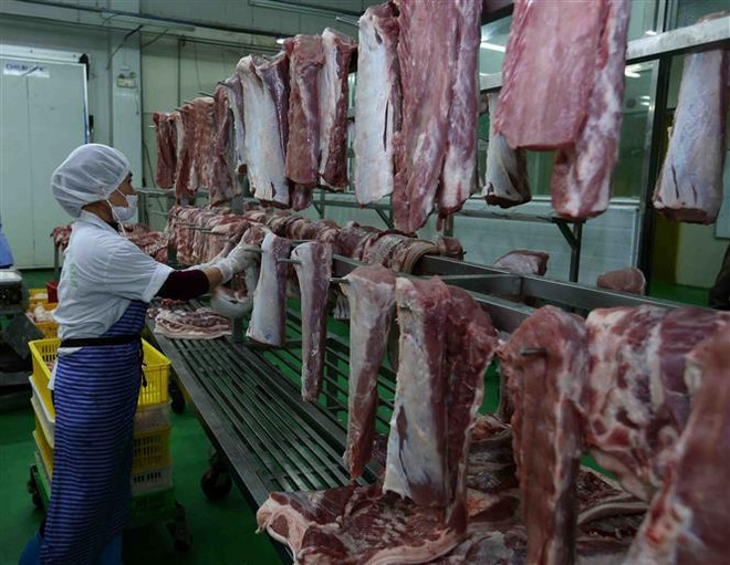 Thịt lợn vẫn đảm bảo nguồn cung bất chấp dịch tả lợn châu Phi lây lan ảnh 1