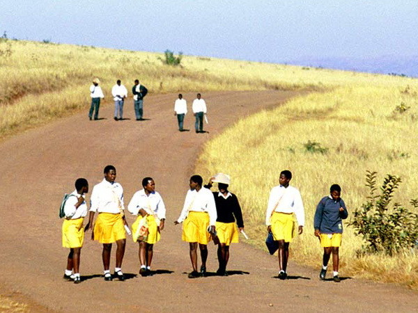 Liên hợp quốc kêu gọi hành động khẩn ngăn chặn tai nạn giao thông ảnh 1