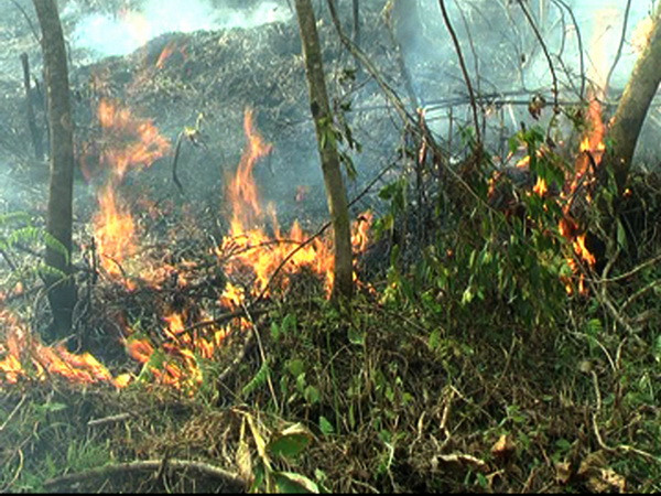 Các nước MSC hợp tác về chống ô nhiễm khói bụi ảnh 1