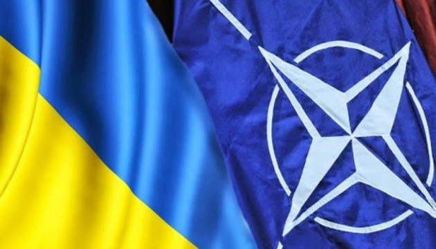 NATO và Ukraine thảo luận về hội nhập châu Âu-Đại Tây Dương ảnh 1
