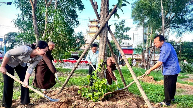 ttxvn_binh Duong xanh do thi.jpg