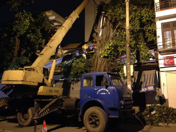 Khắc phục hoàn toàn các sự cố lưới điện do mưa dông gây ra ảnh 1