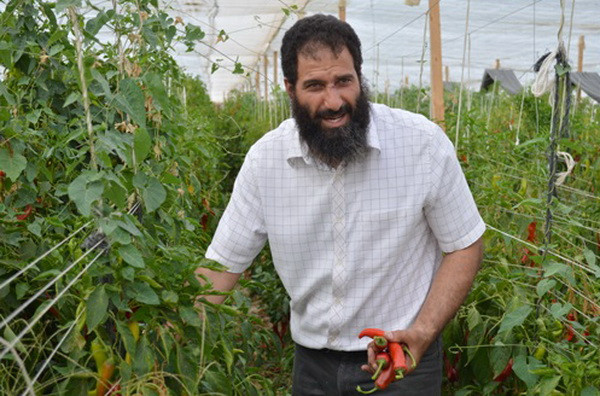 Ốc đảo xanh giữa lòng sa mạc Sahara của cặp vợ chồng Ai Cập-Việt ảnh 3