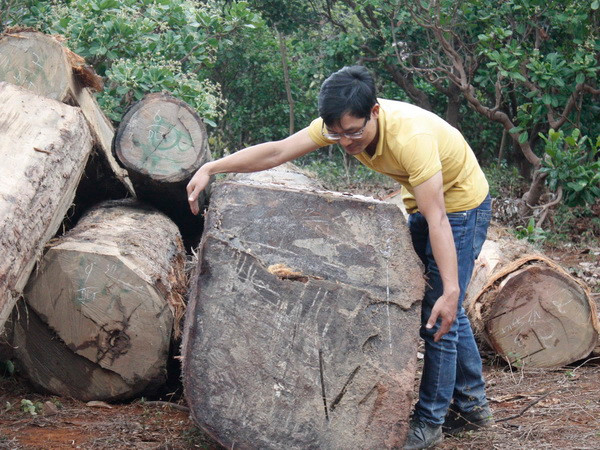 Phát hiện bãi tập kết gỗ trái phép dưới lòng hồ thủy điện Sê San 3A ảnh 1