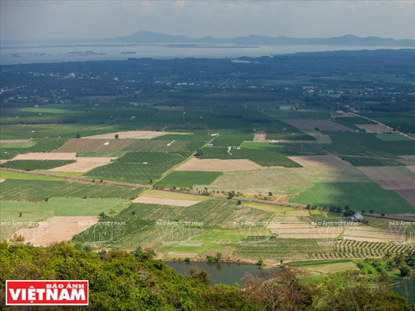 Khám phá quần thể núi Bà Đen - Nóc nhà của vùng Nam Bộ ảnh 6