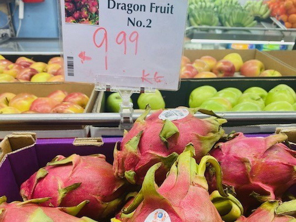 Được đánh giá 5 sao, thanh long Việt rộng đường xuất sang Australia ảnh 1