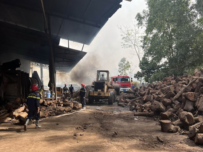 Hỏa hoạn thiêu rụi xưởng sản xuất viên nén gỗ rộng gần 3.000m2 ảnh 2
