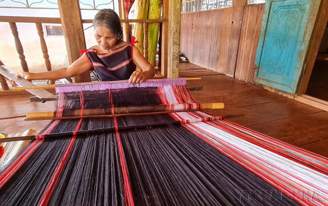 [Photo] Ngày quốc tế phụ nữ 8/3: Những bông hoa “giữ lửa” nghề ảnh 12