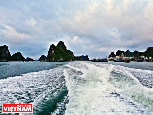 Đảo Cô Tô là điểm đến lý tưởng cho du khách khám phá vẻ hoang sơ ảnh 2