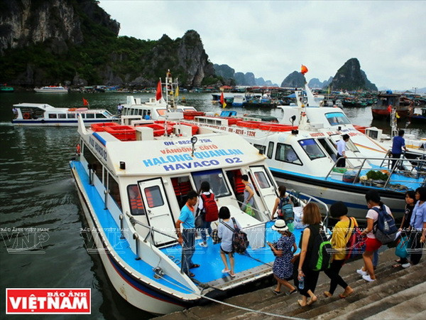 Đảo Cô Tô là điểm đến lý tưởng cho du khách khám phá vẻ hoang sơ ảnh 1