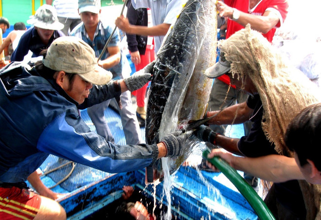 CPTPP tác động tích cực đến nông dân và ngư dân Việt Nam ảnh 1