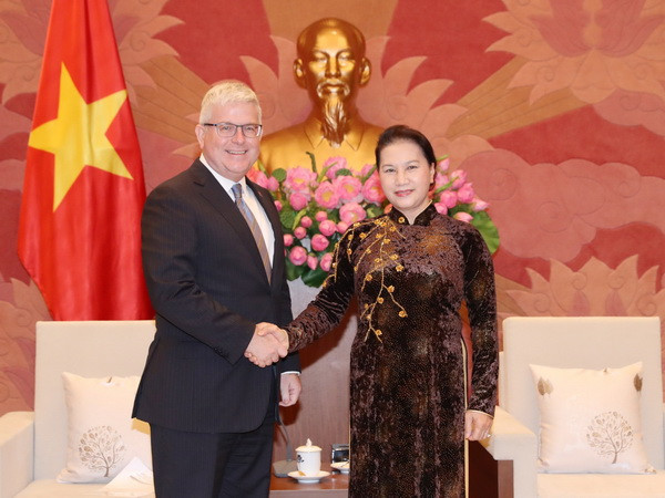 Chủ tịch Quốc hội Nguyễn Thị Kim Ngân tiếp Đại sứ Australia ảnh 1