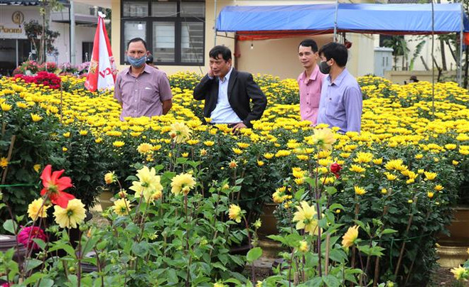 Người dân chọn mua hoa, cảnh Tết ở chợ hoa Xuân tại thành phố Đông Hà. (Ảnh: Nguyên Lý/TTXVN) Tròn 100 ngày hồi sinh của người dân ở vùng ''rốn lũ'' Quảng Trị ảnh 2