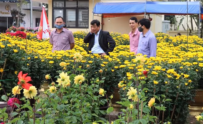 Tròn 100 ngày hồi sinh của người dân ở vùng ''rốn lũ'' Quảng Trị ảnh 2