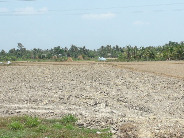 Biến đổi khí hậu - Biến thách thức thành cơ hội cho nông nghiệp ảnh 1