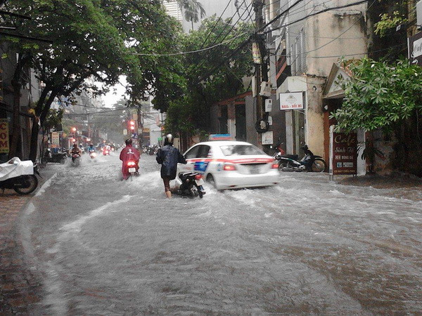 Hà Nội: 3 người bị thương, 100 cây xanh bị đổ trong cơn bão số 3 ảnh 1