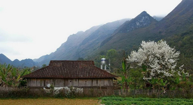Thung lũng Xuân Trường, xã Xuân Trường (Bảo Lạc, Cao Bằng) có phong cảnh rất đẹp và nhiều ngôi nhà sàn cổ kính, rất thích hợp để phát triển du lịch. (Ảnh: Quốc Đạt/TTXVN) ttxvn_du lich cao bang (3).jpg