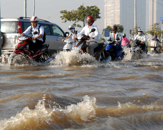 Mưa to kéo dài kết hợp với triều cường gây ngập úng ở Nam Bộ ảnh 1