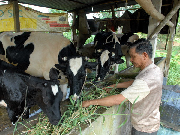 Lập Hội đồng Nhà nước thẩm định 2 Chương trình quốc gia ảnh 1