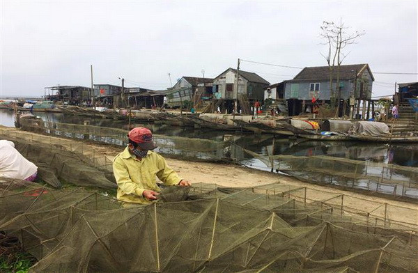 10 năm Chiến lược biển: Khai thác thế mạnh về thủy sản ảnh 1