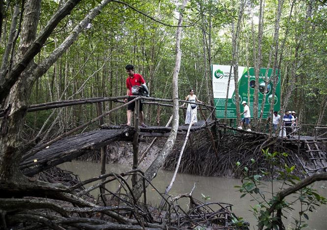 Cà Mau tìm tòi để đa dạng các sản phẩm và loại hình du lịch ảnh 1