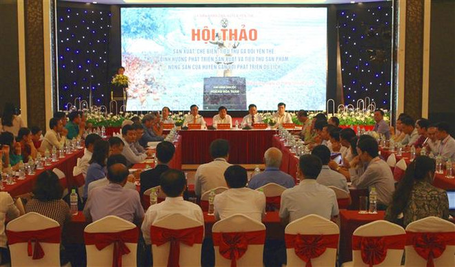 Nâng cao chất lượng gà đồi Yên Thế hướng tới thị trường xuất khẩu ảnh 1