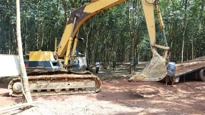 Bỏ trốn khi bị phát hiện đổ trộm rác thải, tài xế bị rắn cắn nhập viện ảnh 2