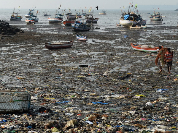 Thêm cảnh báo về rác thải chất dẻo trên các đại dương ảnh 1