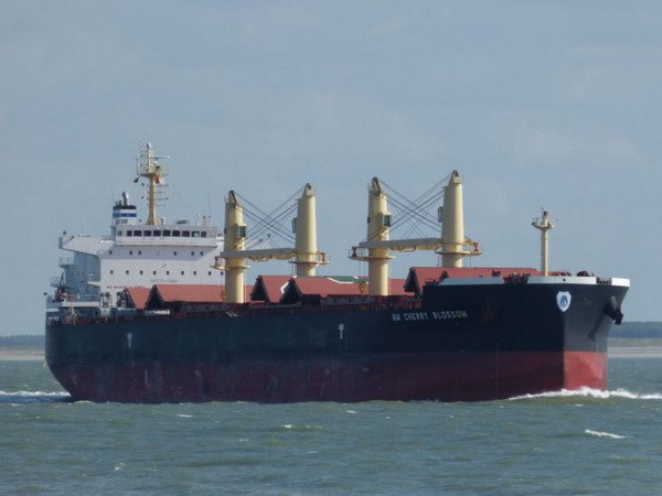 Tàu MV NM Cherry Blossom. (Nguồn: vesselfinder.com) Nam Phi gia hạn lệnh tạm giữ tàu chở hàng Cherry Blossom của Maroc ảnh 1