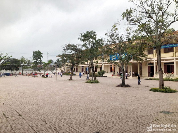 Nghệ An: Đình chỉ dạy với giáo viên lớp 3 đánh đập học sinh ảnh 1