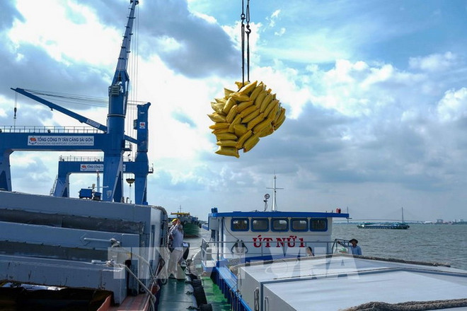 Nhà đầu tư Hà Lan tìm hiểu hợp tác về nông nghiệp, logistics ở Cần Thơ ảnh 2