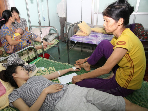 Một người chết, bốn người nhập viện do uống nước cây rừng ảnh 1