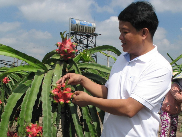 Cần chính sách mở làm lực đẩy cho xuất khẩu trái cây Việt Nam ảnh 2