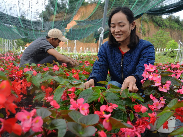 Du lịch xanh là chìa “khóa” để phát triển du lịch bền vững ảnh 3