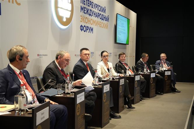 Việt Nam khẳng định doanh nghiệp là nguồn lực phát triển kinh tế ảnh 1