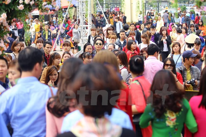 Hà Nội yêu cầu chấn chỉnh tình trạng lộn xộn tại lễ hội hoa hồng ảnh 1