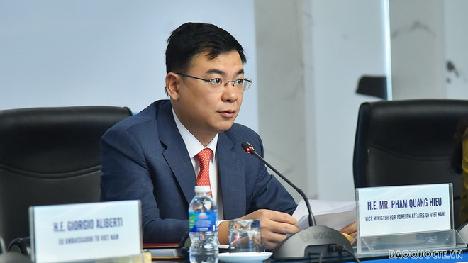 Việt Nam hoan nghênh sự tham gia của EU trong phát triển vùng Mekong ảnh 2