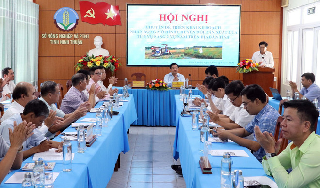 ttxvn_Ninh Thuan 3 vu xuong 2 vu.jpg