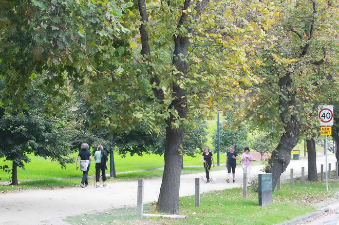 [Photo] Nao lòng trước cảnh đẹp cuối Thu trên đất Australia ảnh 5