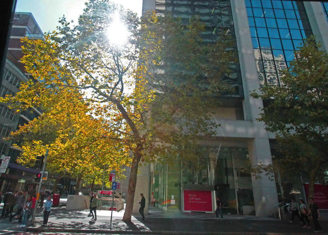 [Photo] Nao lòng trước cảnh đẹp cuối Thu trên đất Australia ảnh 18