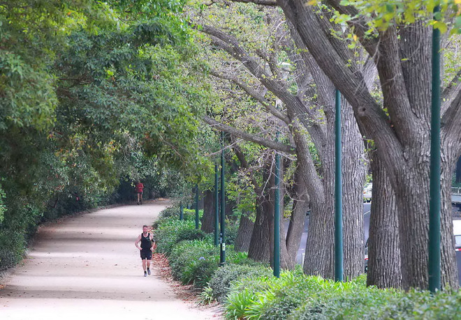 [Photo] Nao lòng trước cảnh đẹp cuối Thu trên đất Australia ảnh 7